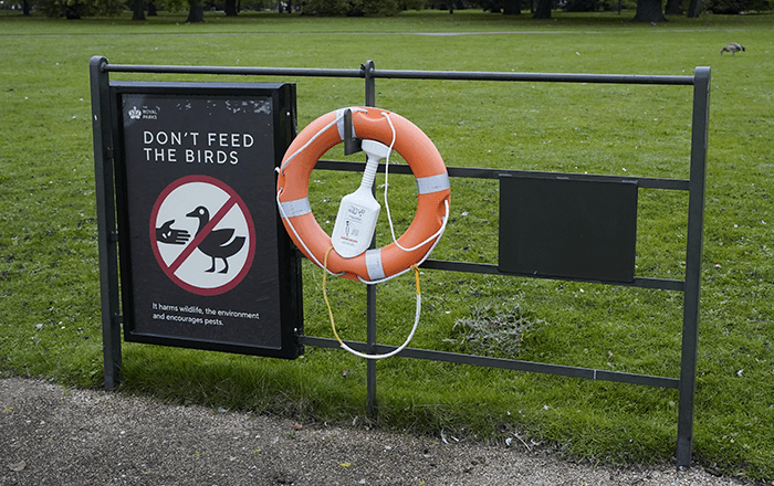 Don't feed the birds